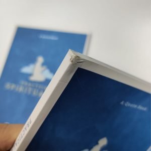 [DEFECT] Practical Spirituality - Image 12
