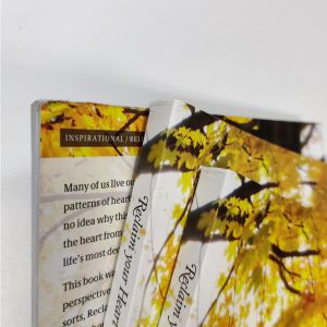 [DEFECT] Reclaim Your Heart: Personal Insights on Breaking Free from Life's Shackles - Image 11