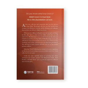 A Lover's Pursuit by Wael Ibrahim, Mufti Ismail Menk, and Dr Muhammad Salah