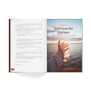 A Lover's Pursuit by Wael Ibrahim, Mufti Ismail Menk, and Dr Muhammad Salah