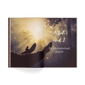 A Lover's Pursuit by Wael Ibrahim, Mufti Ismail Menk, and Dr Muhammad Salah
