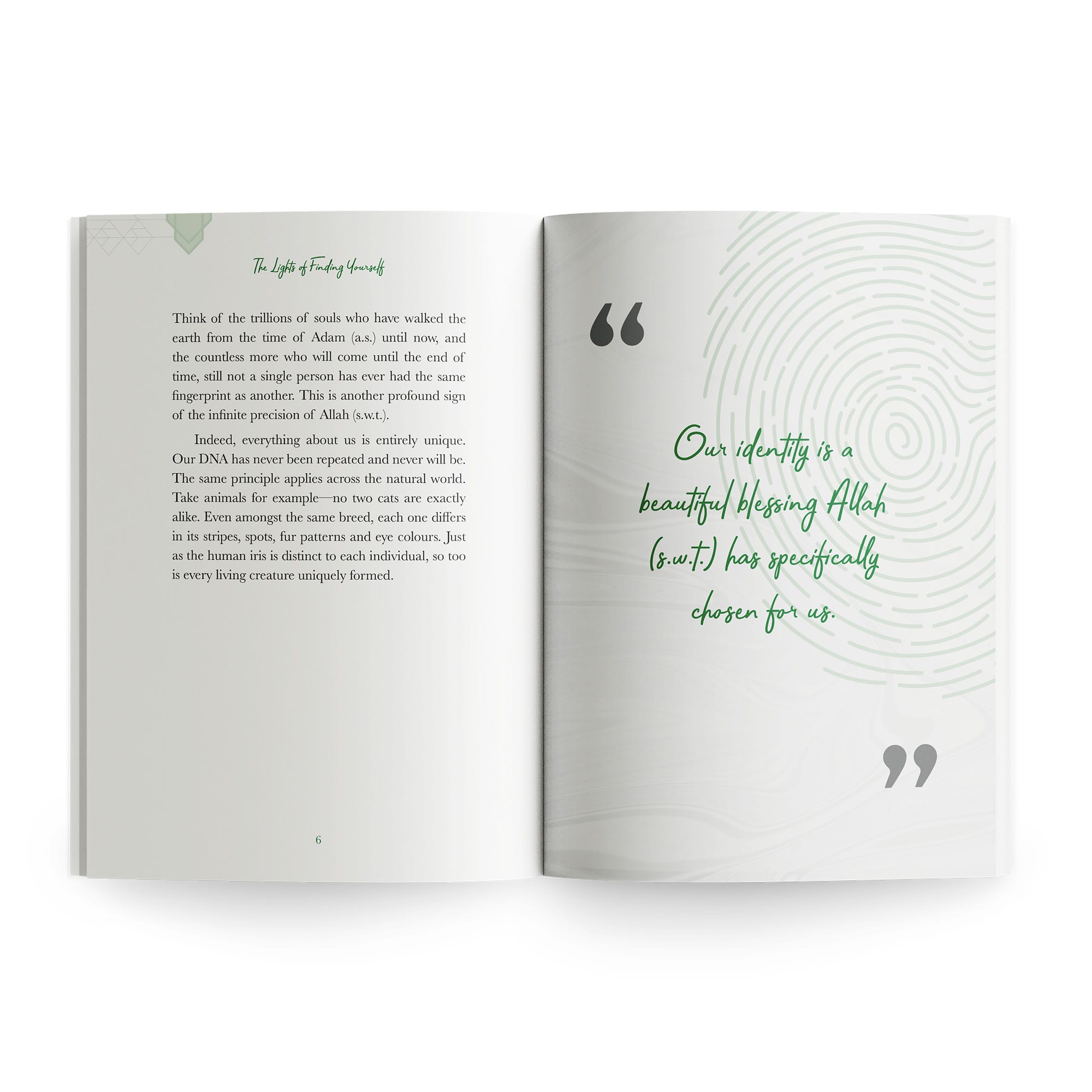 The Lights of Finding Yourself by Mufti Menk